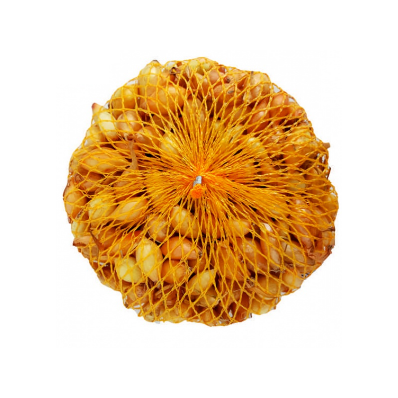 Cibulka sazečka Všetana 0,5kg 8-21mm podlouhlá