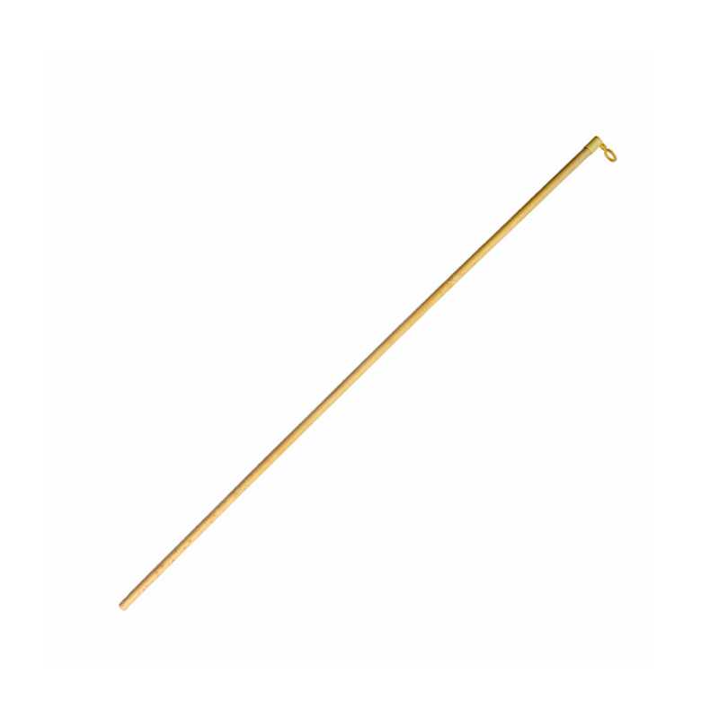 Hůlka lampionová