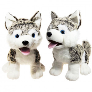 Pes Husky