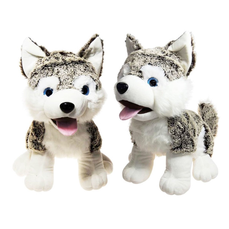 Pes Husky