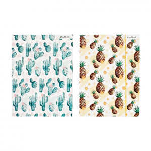 Složka - kaktus, ananas