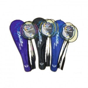 Badminton