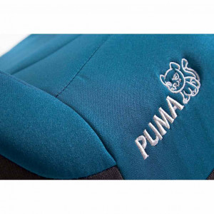 Autosedačka-podsedák CARETERO Isofix Puma Isofix cherry 2017