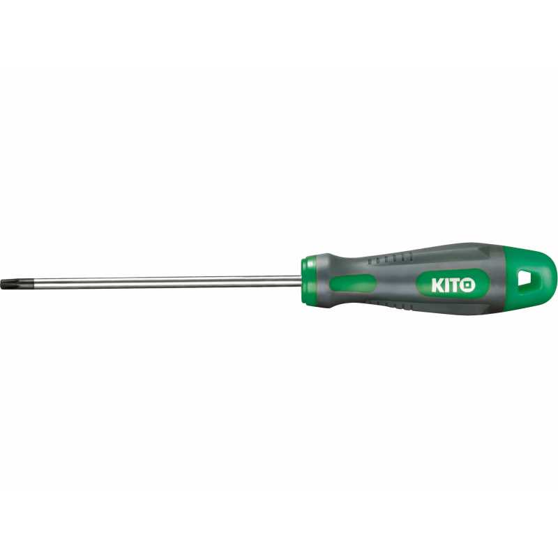 Šroubovák torx TX6x100mm 4800406