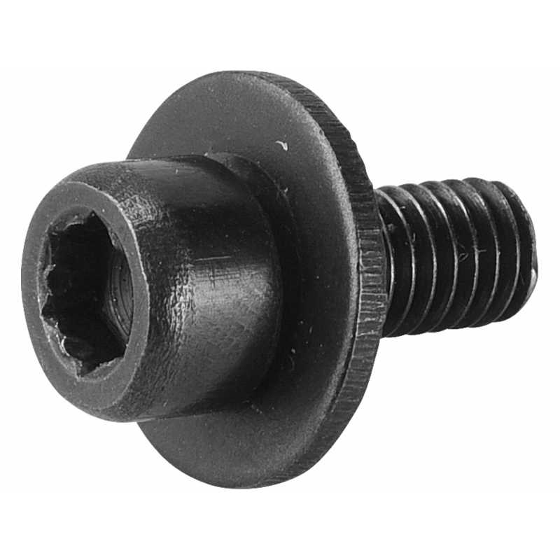 Šroub na upnutí kotouče, pro 8893022, Extol premium 8893022G
