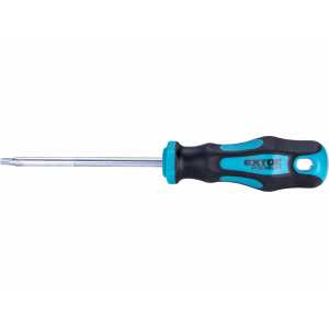 Skrutkovač TORX, T25x100mm,...