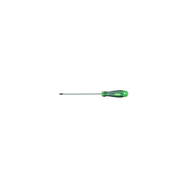 Šroubovák Torx s dírkou S2, TTa25x200mm, 4800525