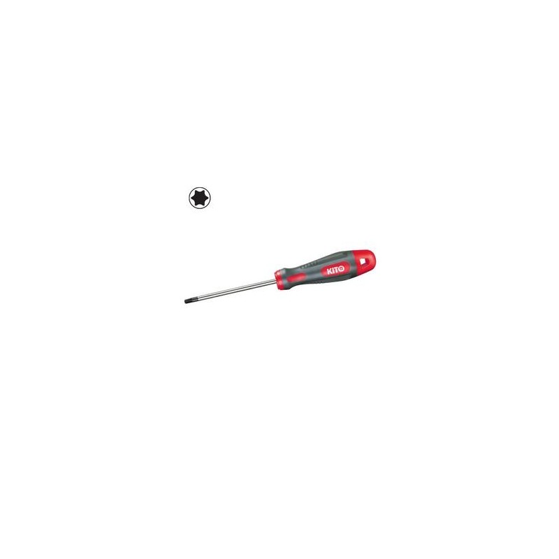 Skrutkovač torx TX27x100mm, 4800427