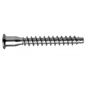 Konfirmát 7x70 Zn