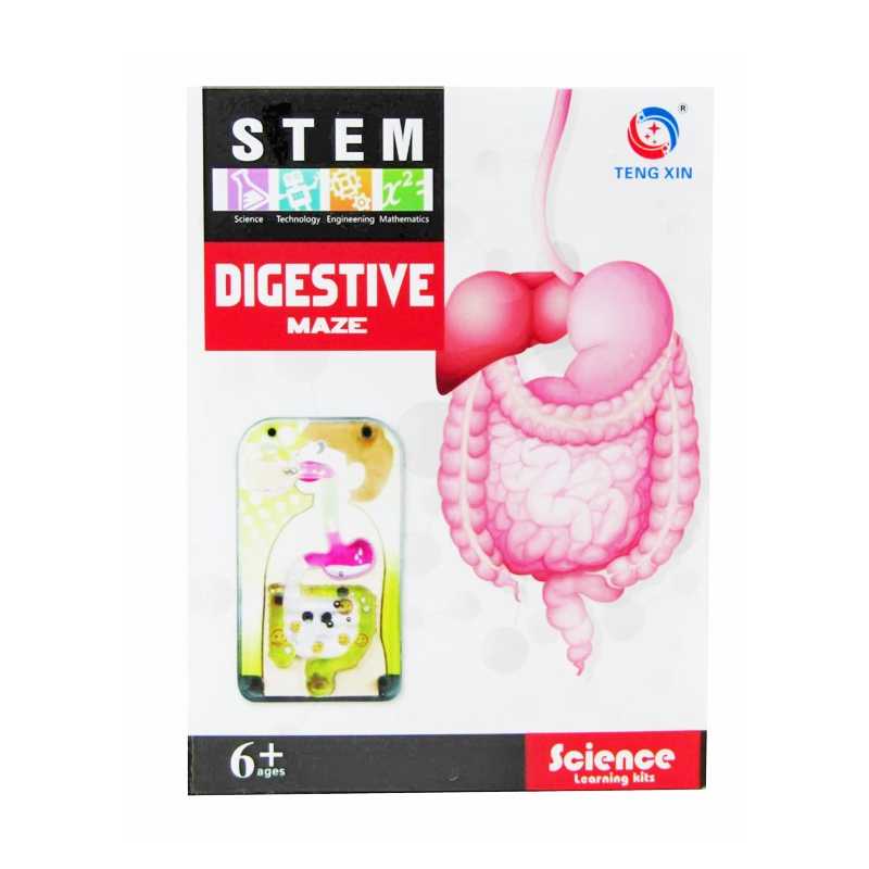 Kreativní série - Trávicí soustava