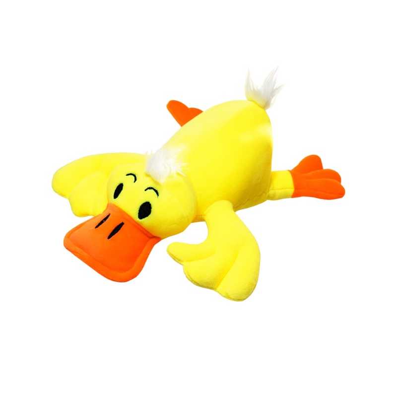 Kachna ležící