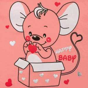 Kojenecké dupačky New Baby Mouse lososové, 74