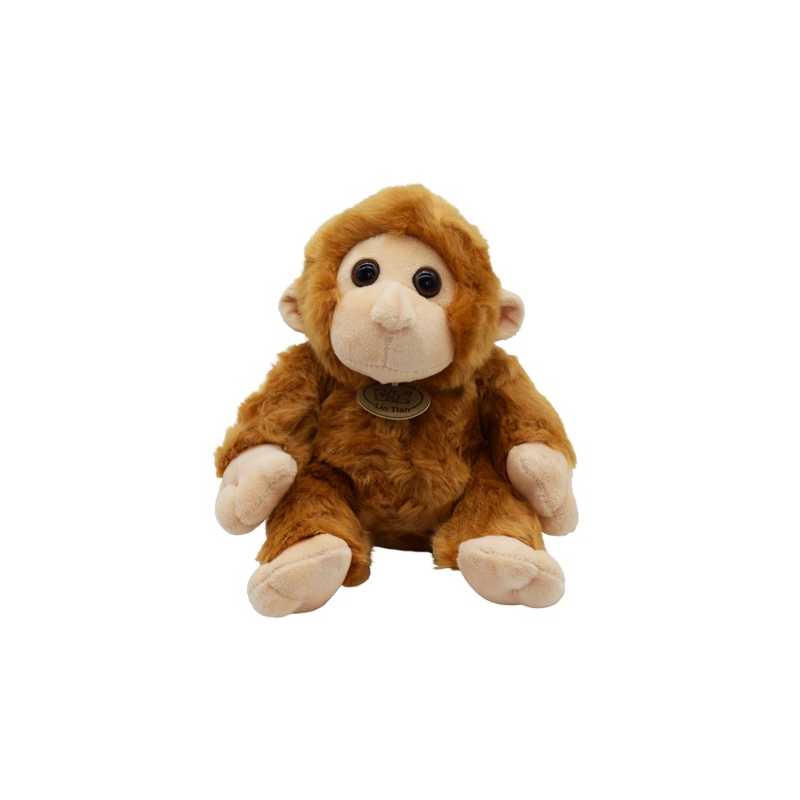 Orangutan Oldo