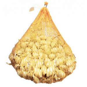 Sazečka cibule bílá 250g...