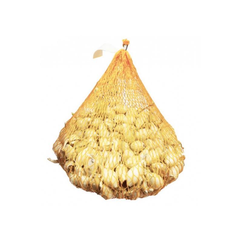 Sadzačka cibuľa biela 250g White Snowball 8-16mm
