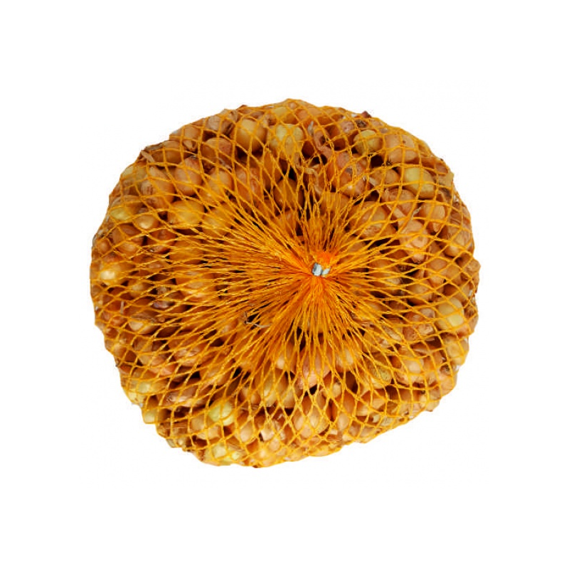 Cibuľka sadzačka Štutgardská 500g 8-16mm