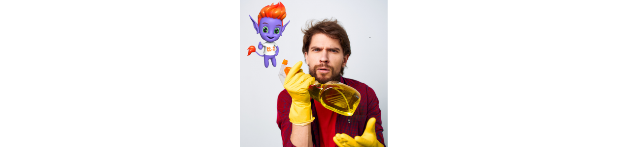 Domácnosť
