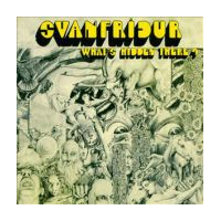 What`s Hidden There?