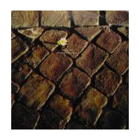 Et La Vie L`emporta / Children`s Corner Suite