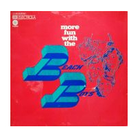 More Fun With The Beach Boys