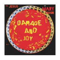 Damage And Joy