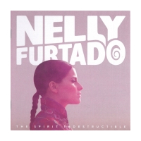 The Spirit Indestructible