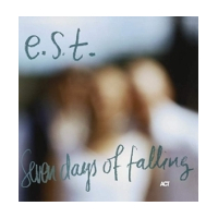 Seven Days Of Falling