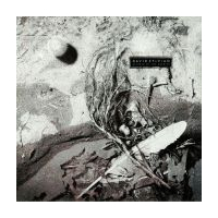 Secrets Of The Beehive