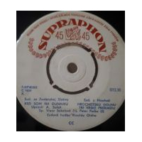 Svadobná hudba / Stredoslovenský èardá / Východoslovenský cigánsky tanec / Pýtam sa ja mojej mamky