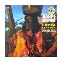 Harpe Indienne Pour Une Fiesta Llanera Au Venezuela