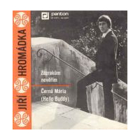 Zázrakùm nevìøím / Èerná Mária (Hello Buddy)
