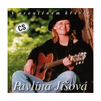 V proutìném køesle