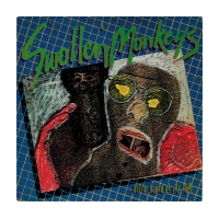 After Birth Of The Cool