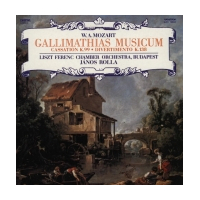 Gallimathias Musicum / Cassation K. 99