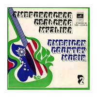 American Country Music 2