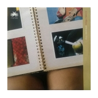 Choc Electrique Bongo Massive