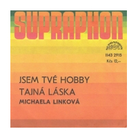 Jsem tvé hobby / Tajná láska