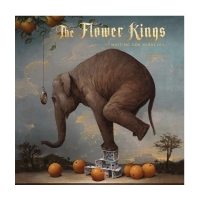 Waiting For Miracles