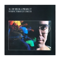 Soaring Through A Dream