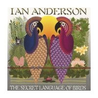 The Secret Language Of Birds