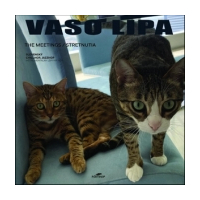 The Meetings / Stretnutia