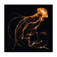 Royal Blood - Back To The...