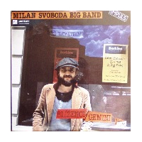 Blíenci/Gemini live