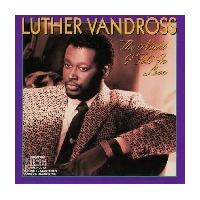 The Night I Fell In Love